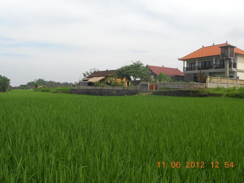 Villa Jasmine B&B อูบุด ภายนอก รูปภาพ