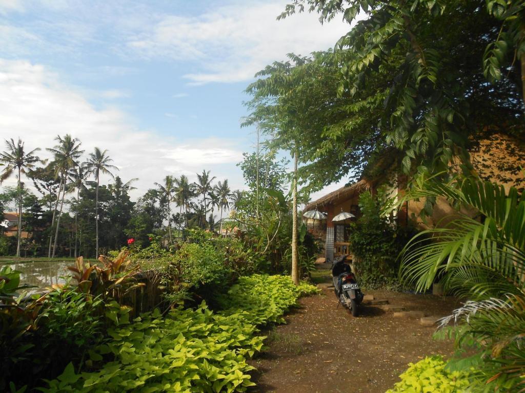 Villa Jasmine B&B อูบุด ภายนอก รูปภาพ
